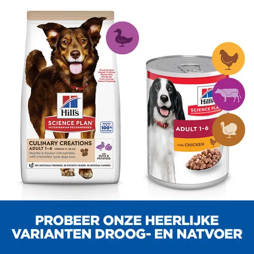 Hill's Science Plan Culinary Creations Eend En Aardappel Medium Hond 14kg 6 Hill's Science Plan Culinary Creations Eend En Aardappel Medium Hond 14kg - Afbeelding 4