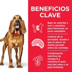 Hill's Adult Mature 7+ Light - Kip 17 Hill's Adult Mature 7+ Light - Kip -Hill‘s Verkoopwinkel 171488 52742026169 5 6 6 g