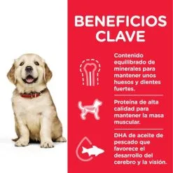 Hill's Puppy Healthy Development Large Breed Kip -Hill‘s Verkoopwinkel 171491 52742026084 5 6 6 g