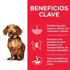 Hill's SP Tanden Adult Perfect Gewicht Mini -Hill‘s Verkoopwinkel 171499 3 3 g