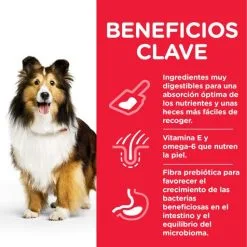 Hill's Adult Gevoelige Maag 17 Hill's Adult Gevoelige Maag -Hill‘s Verkoopwinkel 171532 52742025131 4 6 g