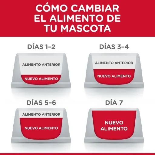 Hill's Adult Mature 7+ Alle Rassen - Lam En Rijst 12 Hill's Adult Mature 7+ Alle Rassen - Lam En Rijst - Afbeelding 10