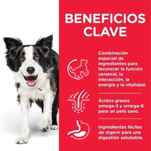 Hill's Science Plan +7 Science Plan +7 Youthful Vitality Middelgrote Kip 5 Hill's Science Plan +7 Science Plan +7 Youthful Vitality Middelgrote Kip - Afbeelding 3