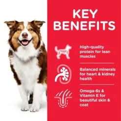 Hill's Adult Mature 7+ Active Longevity Medium Kip -Hill‘s Verkoopwinkel 171537 atf8 52742026176 key benefits 7 g
