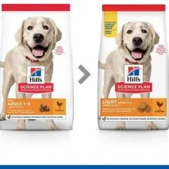 Hill‘s Verkoopwinkel -Hill‘s Verkoopwinkel 171602 52742025902 6 1 g