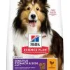 Hill's Hill’s Science Plan Adult Sensitive Stomach & Skin Kip 14kg -Hill‘s Verkoopwinkel 1cbcc47bd00639eb3f625af7d80ff2a6db81d4200cc27438c45a4eeb3b6aeb91