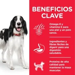 Hill's Adult Advanced Fitness Medium Tonijn En Rijst 12 Hill's Adult Advanced Fitness Medium Tonijn En Rijst -Hill‘s Verkoopwinkel 318 52742926902 4 3 g