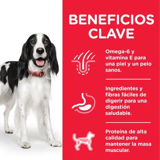 Hill's Adult Advanced Fitness Medium Tonijn En Rijst 6 Hill's Adult Advanced Fitness Medium Tonijn En Rijst - Afbeelding 4