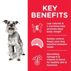 Hill's Adult Mature 7+ Mini Light Kip 14 Hill's Adult Mature 7+ Mini Light Kip -Hill‘s Verkoopwinkel 439 atf8 52742170008 key benefits 3 g