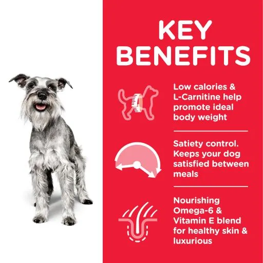 Hill's Adult Mature 7+ Mini Light Kip 5 Hill's Adult Mature 7+ Mini Light Kip - Afbeelding 3