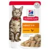 Hill's Hill’s Science Plan Feline Adult Kip 12x85g -Hill‘s Verkoopwinkel 521183a6fe4ffcc3d7b2e202ff93422345683ea7247d9e625e24cd6db986ae75