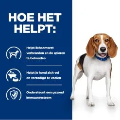 Hill's Hill’s Prescription Diet R/D – Hondenvoer Met Kip – 4kg 12 Hill's Hill’s Prescription Diet R/D – Hondenvoer Met Kip – 4kg -Hill‘s Verkoopwinkel 52742047256 3 NL 1