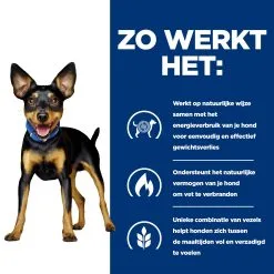 Hill's Prescription Diet Metabolic Kip- En Groentenstoofpotje Voor Hond 24x156g -Hill‘s Verkoopwinkel 52742047331 2 NL