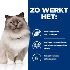 Hill's Prescription Diet R/d Weight Reduction Kattenvoer Met Kip 3kg 11 Hill's Prescription Diet R/d Weight Reduction Kattenvoer Met Kip 3kg -Hill‘s Verkoopwinkel 52742048185 2 NL