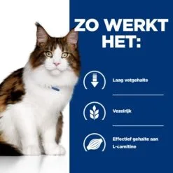 Hill's Prescription Diet W/D Multibenefit Voor Kat 12x85g -Hill‘s Verkoopwinkel 52742053783 2 NL