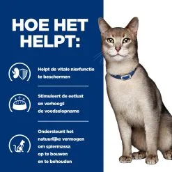 Hill's Hill’s Prescription Diet K/D – Kattenvoer Met Rund – Maaltijdzakjes 12x85g -Hill‘s Verkoopwinkel 52742274102 3 NL