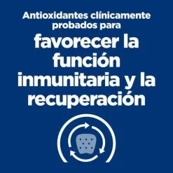 Pak 24 Hill's Feline A/d -Hill‘s Verkoopwinkel 52742567006 5 g