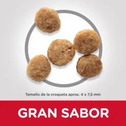 Hill's Canine Senior 11+ Small & Miniature Original -Hill‘s Verkoopwinkel 62899 52742283005 3 8 g