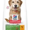Hill's Science Plan Mature Adult 7+ Senior Vitality Small & Mini Hondenvoer Met Kip & Rijst 6kg 2 Hill's Science Plan Mature Adult 7+ Senior Vitality Small & Mini Hondenvoer Met Kip & Rijst 6kg -Hill‘s Verkoopwinkel 9ba4a6026c82e9004ad35b56258fda7fe8f666f0a8d784f395e03a8b9c8b0ff9