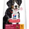 Hill's Science Plan Adult Large Breed Hondenvoer Met Kip 2,5kg 1 Hill's Science Plan Adult Large Breed Hondenvoer Met Kip 2,5kg -Hill‘s Verkoopwinkel c8de8594e68dc38bec7a2ddf3a59231d62789d8ecd5a2332582d8ae6e2469743 scaled