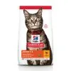 Hill's Science Plan Adult Kattenvoer Met Kip 7kg -Hill‘s Verkoopwinkel f65cd4648b7a3f4b1fa6e33f8923b51574ac6c1d8c4555c0131c8caacbd679f5