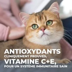 Hill's Science Plan Mature Adult Sterilised - Kip - 3kg 13 Hill's Science Plan Mature Adult Sterilised - Kip - 3kg -Hill‘s Verkoopwinkel fe02ed3199eab2ce4c93fb61c16c60cab879f5afa39a348354424fd00d9ede0f