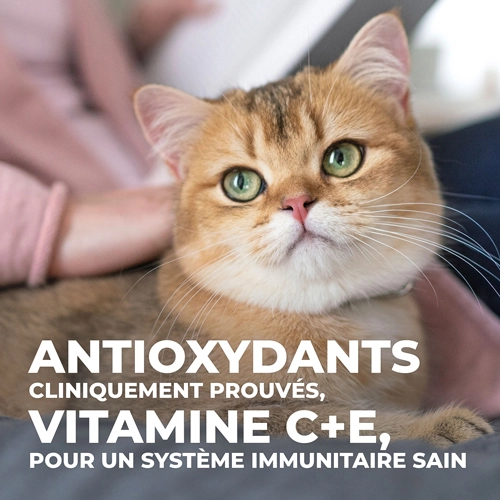 Hill's Science Plan Mature Adult Sterilised - Kip - 3kg 8 Hill's Science Plan Mature Adult Sterilised - Kip - 3kg - Afbeelding 6