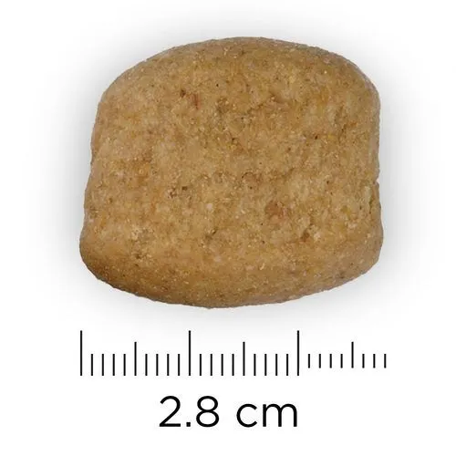 Hill's Prescription Diet T/D Canine - 4 Kg 4 Hill's Prescription Diet T/D Canine - 4 Kg - Afbeelding 2