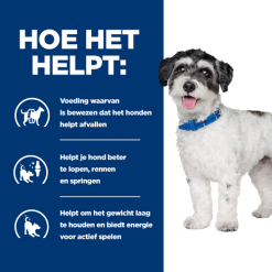 Hill's Prescription Diet Metabolic + Mobility Canine Mini - 6 Kg -Hill‘s Verkoopwinkel pd canine metabolic plus mobility mini dry productspotlight1 500 1 1