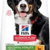 Hill's Science Plan Senior +6 Jeugdige Vitaliteit Grote Kip -Hill‘s Verkoopwinkel science plan senior 6 youthful vitality large pollo 1 g