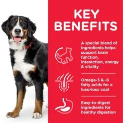 Hill's Science Plan Senior +6 Jeugdige Vitaliteit Grote Kip -Hill‘s Verkoopwinkel science plan senior 6 youthful vitality large pollo 7 g